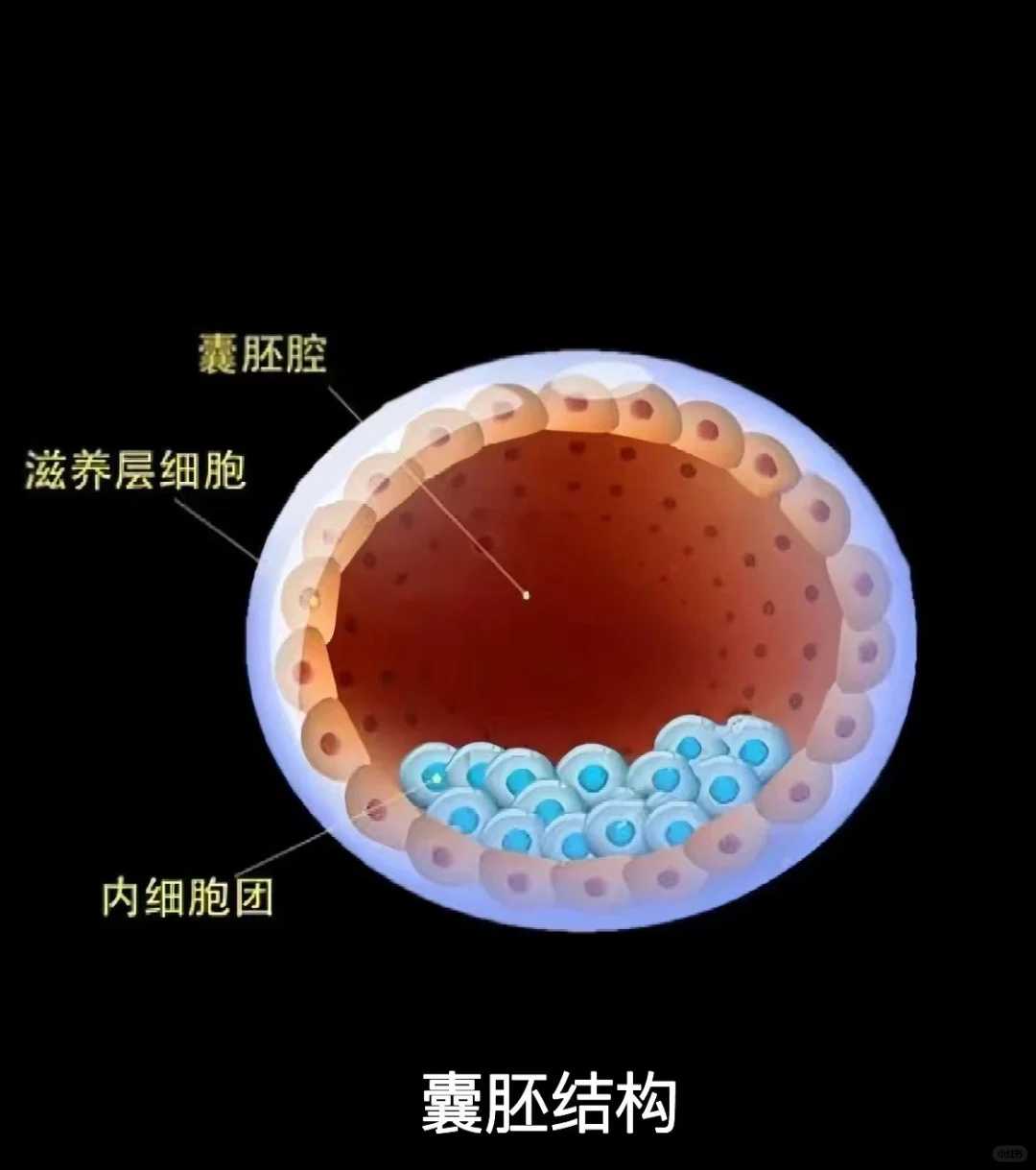 南京试管婴儿公立医院可以签约吗？网上80%不靠谱